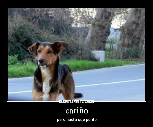 cariño -