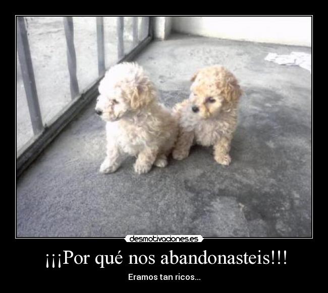 ¡¡¡Por qué nos abandonasteis!!! - 