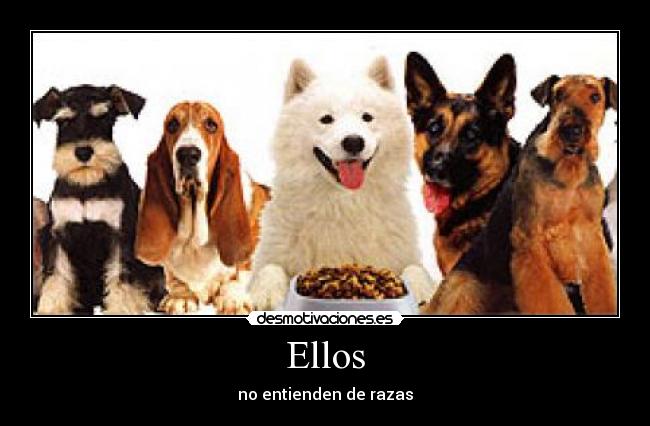 Ellos -