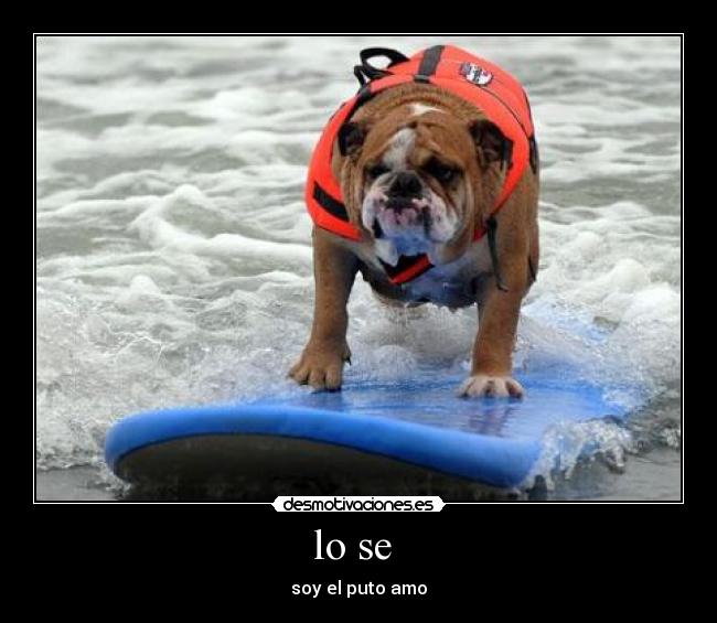 lo se - soy el puto amo
