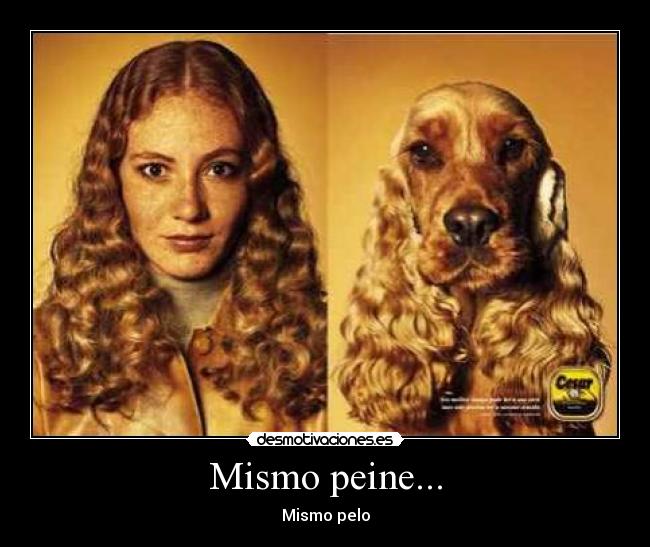 Mismo peine... - Mismo pelo