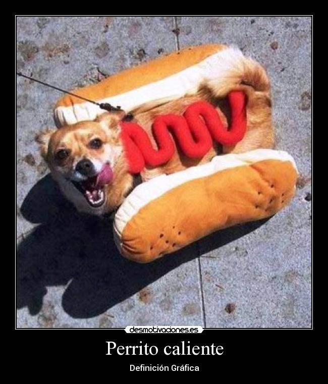Perrito caliente - Definición Gráfica