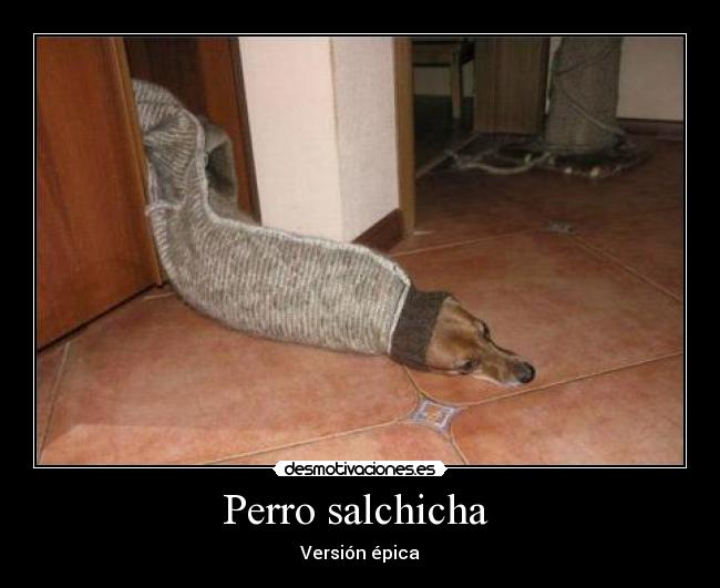 Perro salchicha - Versión épica