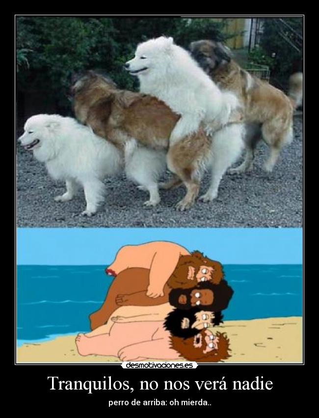 Tranquilos, no nos verá nadie -