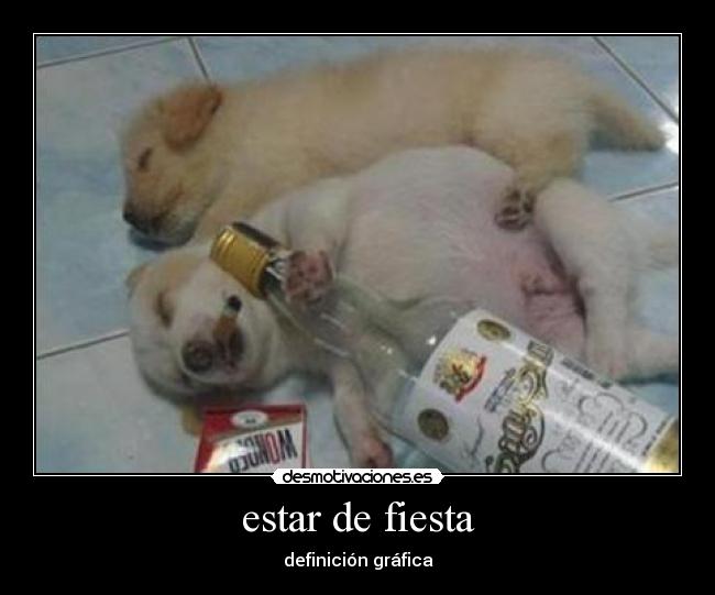 estar de fiesta - definición gráfica