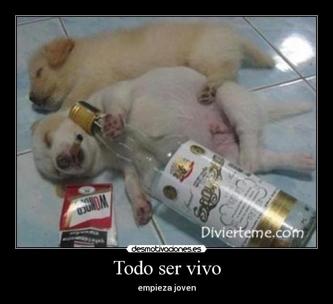 Todo ser vivo - empieza joven