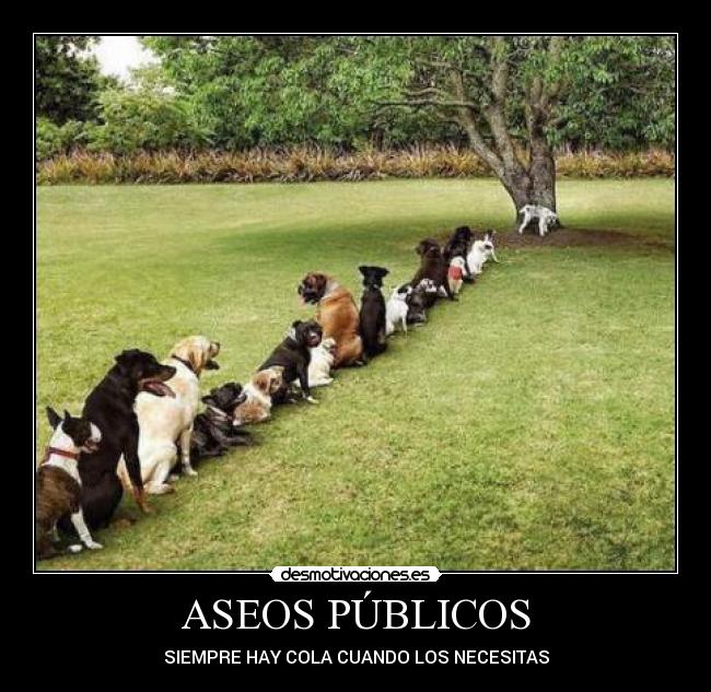 carteles aseos publicos desmotivaciones