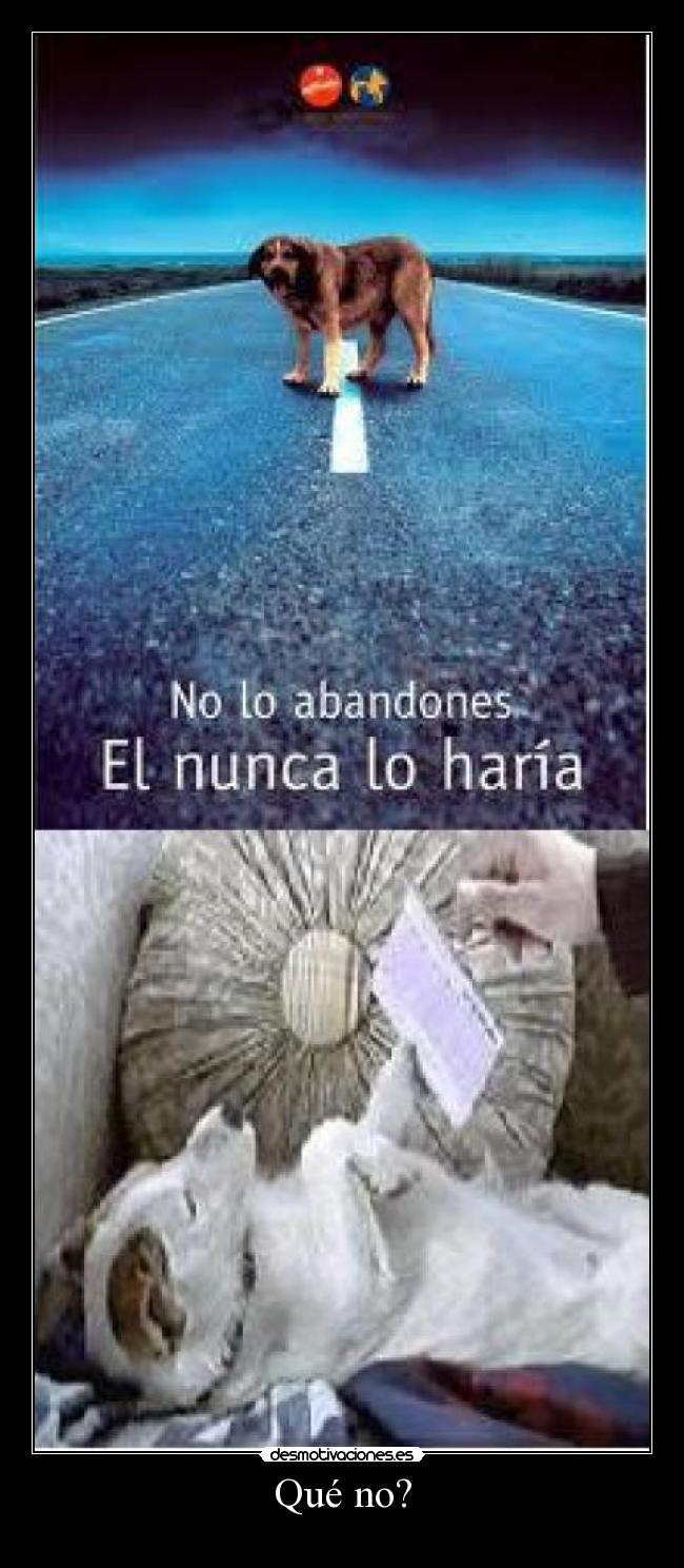 Qué no? - 