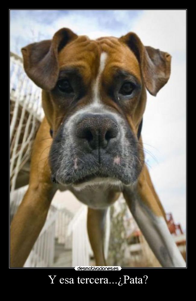 Y esa tercera...¿Pata? -