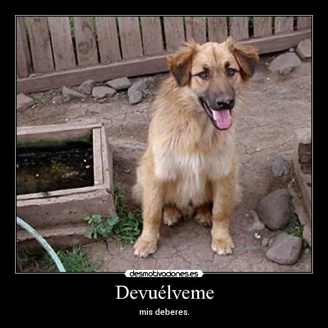 Devuélveme -