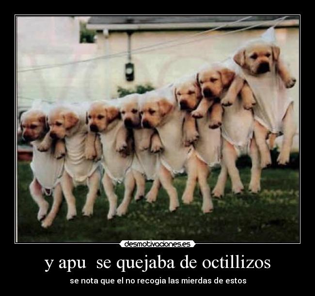 y apu  se quejaba de octillizos - 