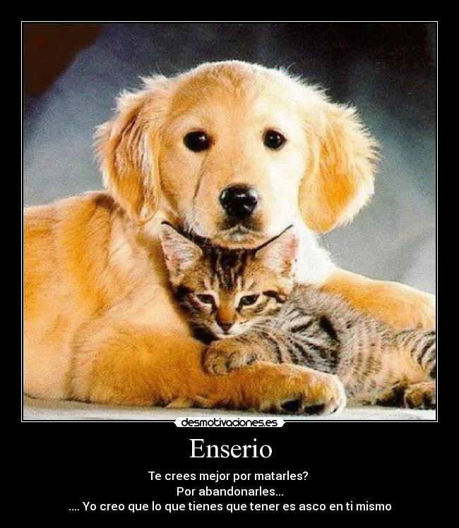 Enserio - Te crees mejor por matarles?
Por abandonarles...
.... Yo creo que lo que tienes que tener es asco en ti mismo