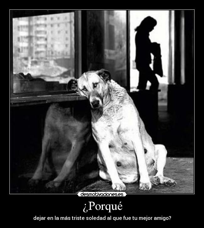 ¿Porqué - dejar en la más triste soledad al que fue tu mejor amigo?
