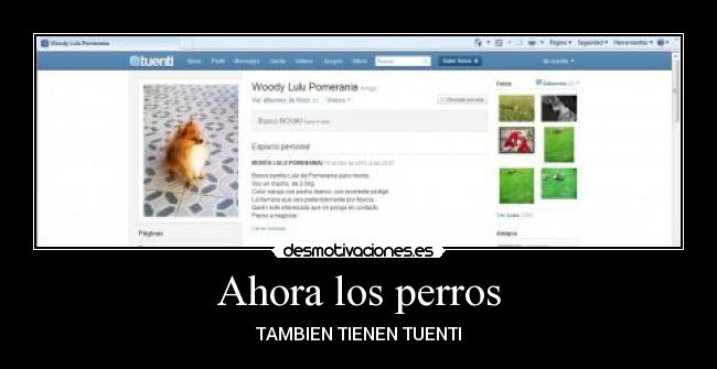 Ahora los perros - TAMBIEN TIENEN TUENTI