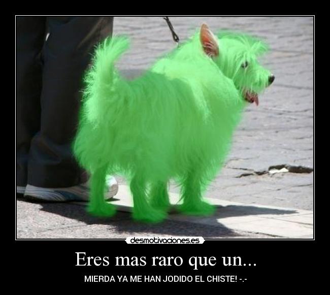 Eres mas raro que un... - MIERDA YA ME HAN JODIDO EL CHISTE! -.-