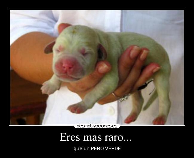 carteles mas raro que desmotivaciones