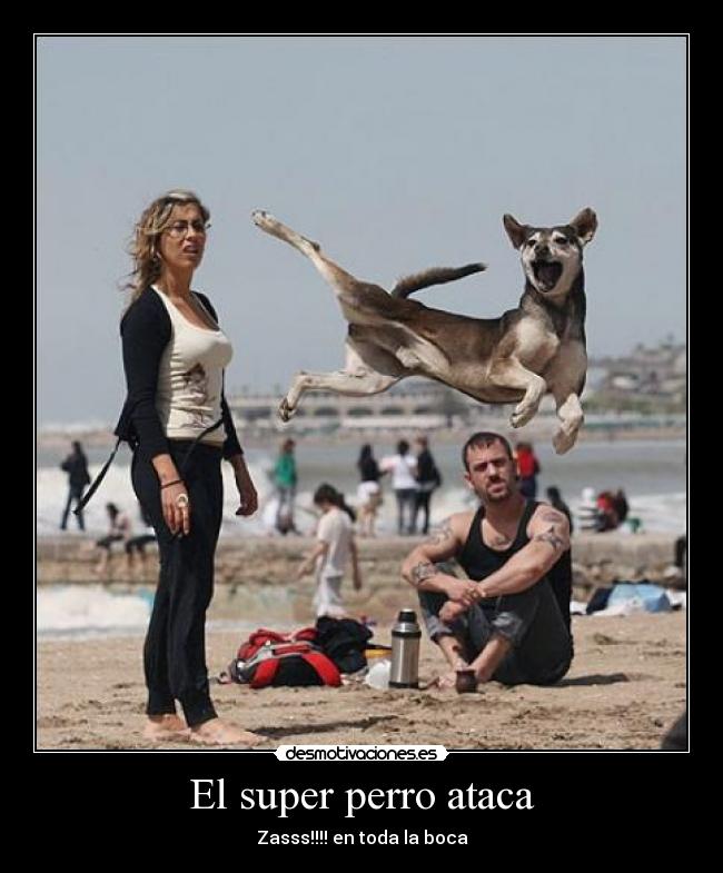El super perro ataca - 