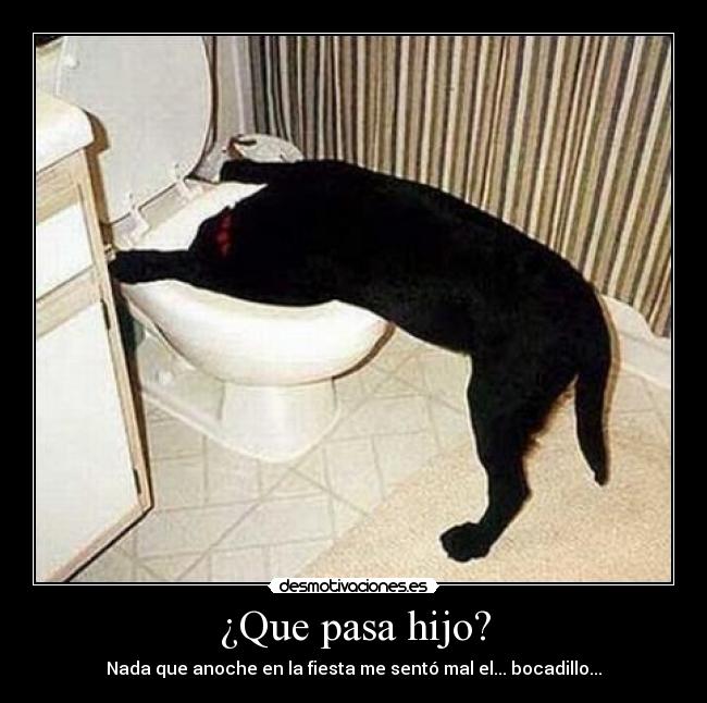 ¿Que pasa hijo? -