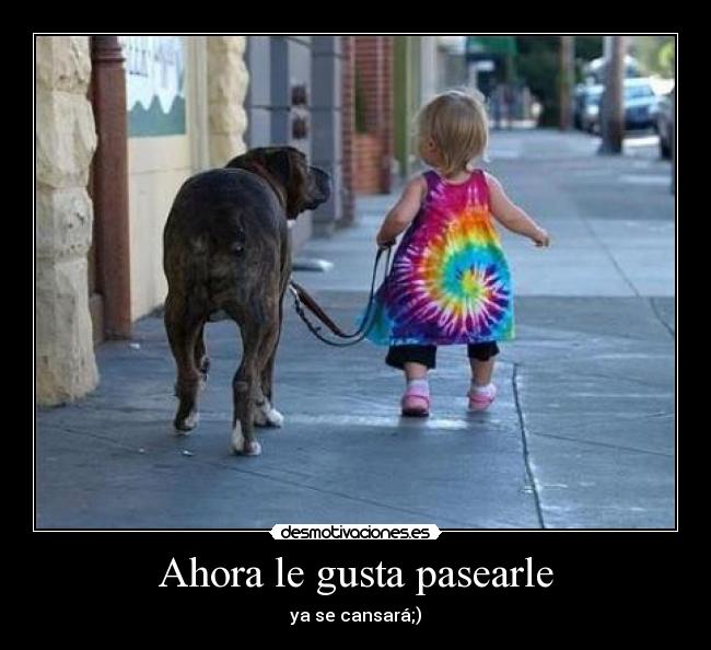 Ahora le gusta pasearle - 