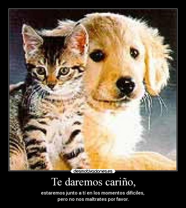 Te daremos cariño, - 