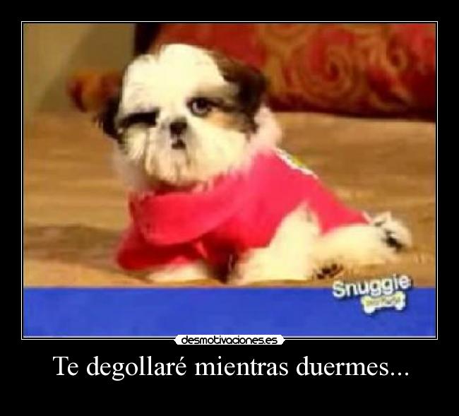Te degollaré mientras duermes... - 
