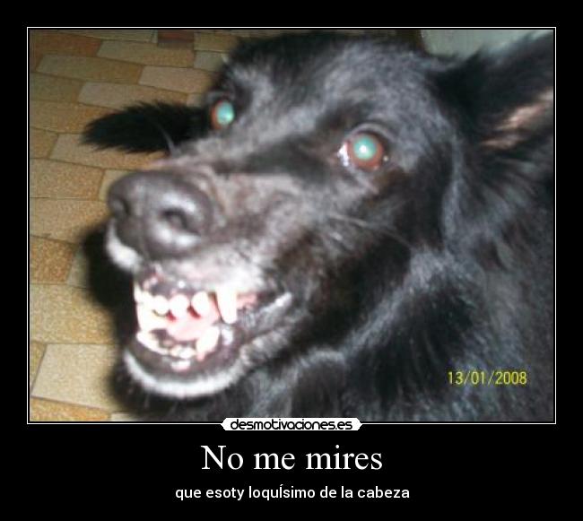 No me mires - que esoty loquÍsimo de la cabeza