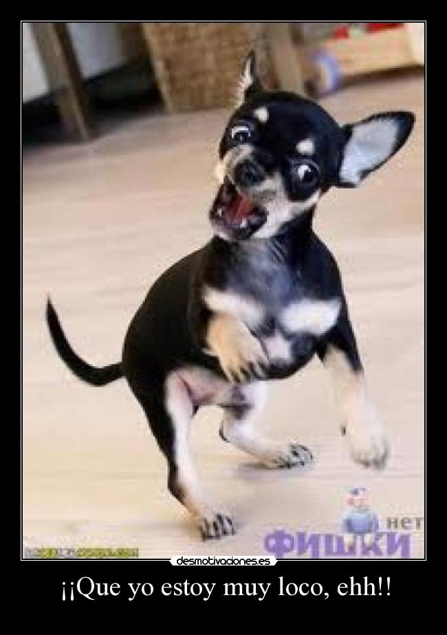 ¡¡Que yo estoy muy loco, ehh!! - 