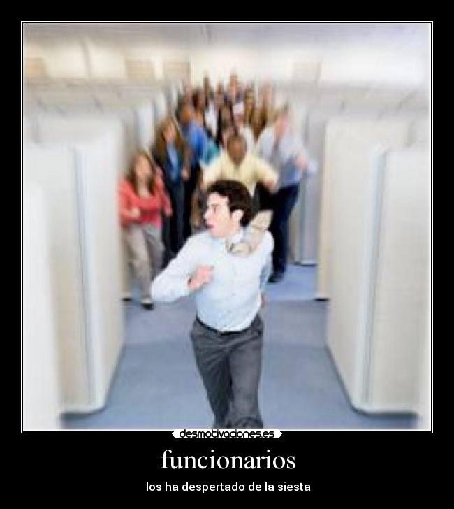 funcionarios -