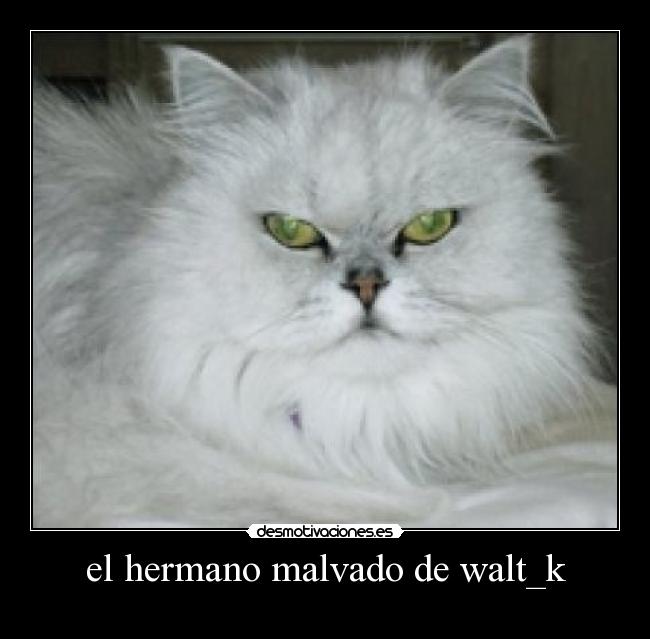 el hermano malvado de walt_k -