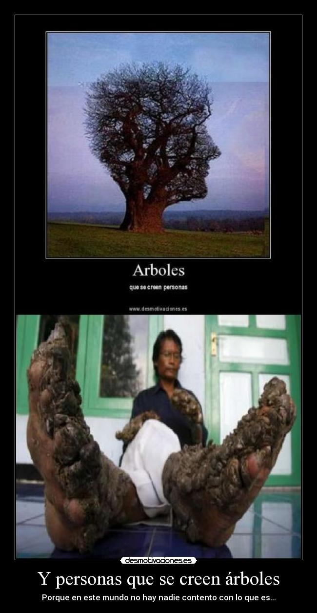 Y personas que se creen árboles -