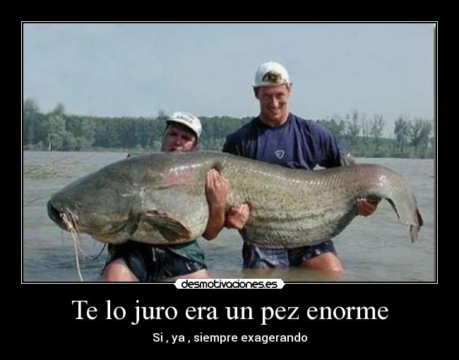 Te lo juro era un pez enorme - Si , ya , siempre exagerando