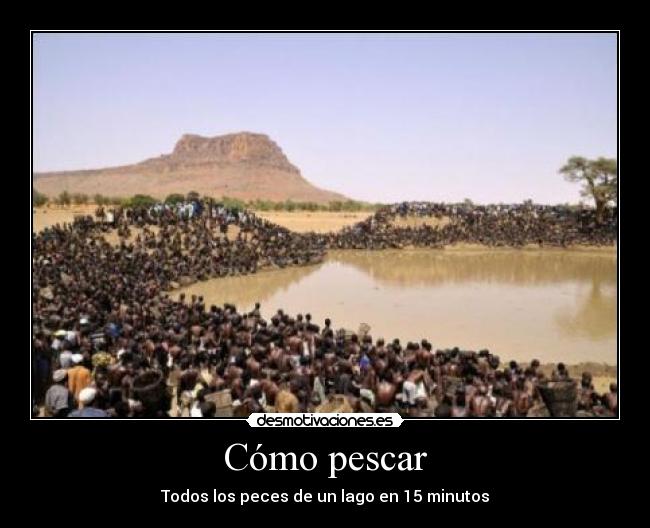 Cómo pescar - Todos los peces de un lago en 15 minutos