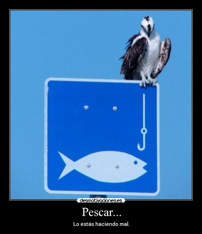 Pescar... - Lo estás haciendo mal.