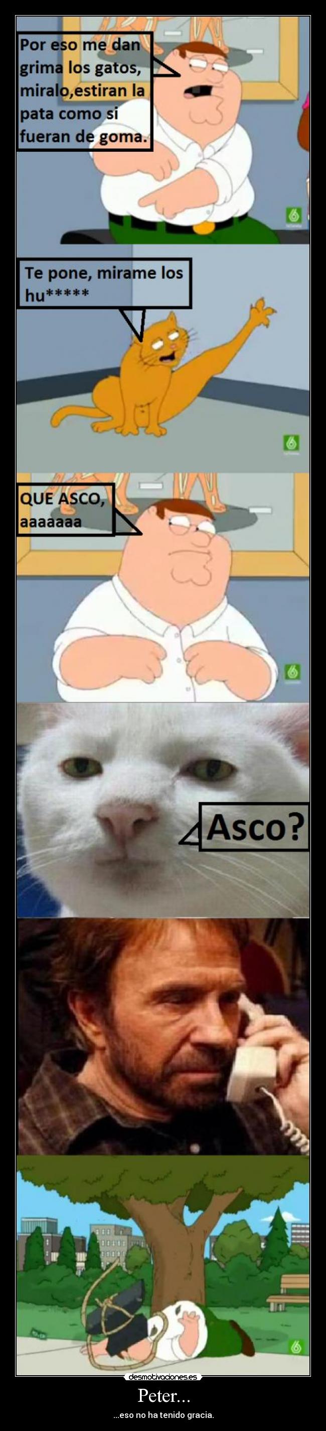 Peter... - ...eso no ha tenido gracia.