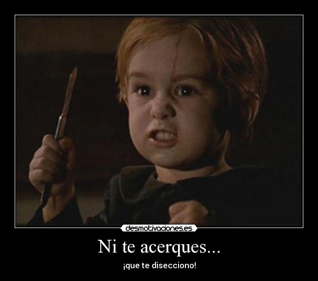 Ni te acerques... - ¡que te disecciono!