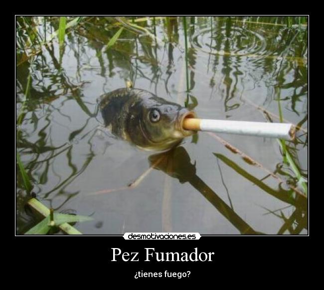 Pez Fumador -