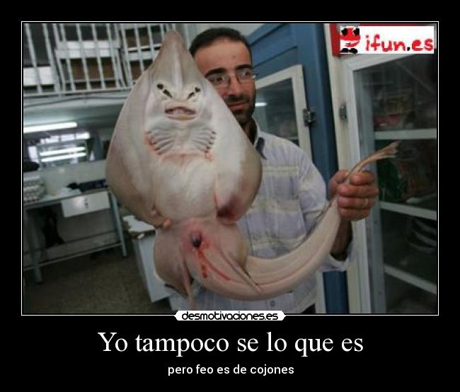 Yo tampoco se lo que es -