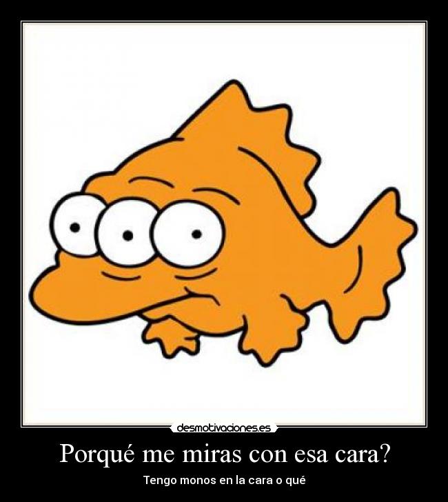 Porqué me miras con esa cara? - 