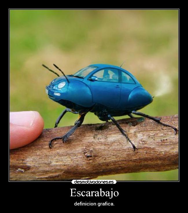 Escarabajo -