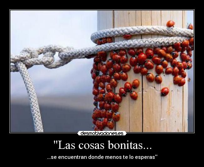 Las cosas bonitas... -