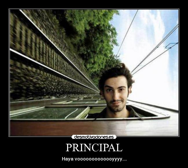 PRINCIPAL - 