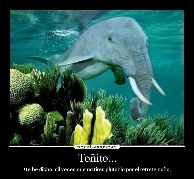 Toñito... - !Te he dicho mil veces que no tires plutonio por el retrete coño¡