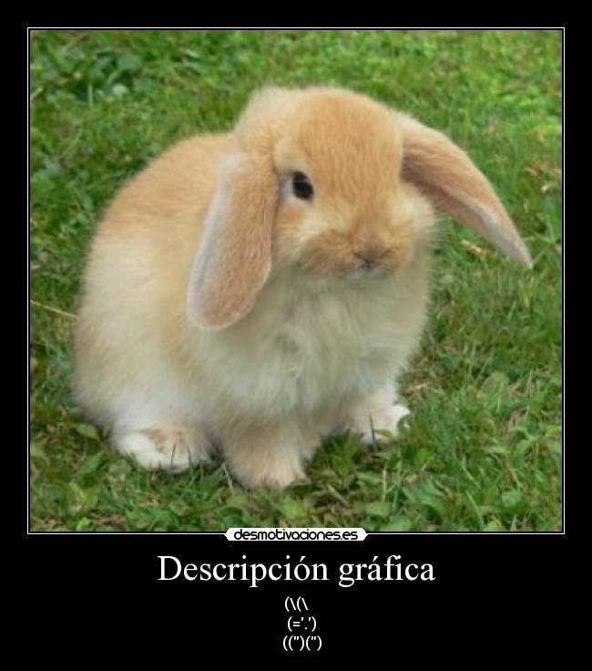 Descripción gráfica - (\(\
(=.)
(()()
