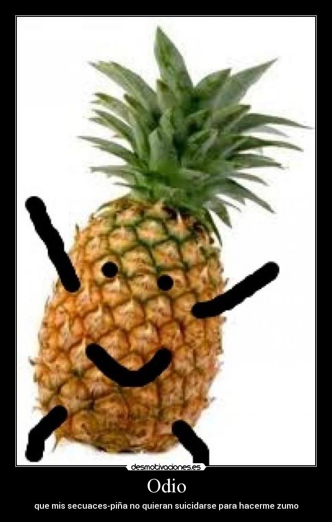 Odio - que mis secuaces-piña no quieran suicidarse para hacerme zumo