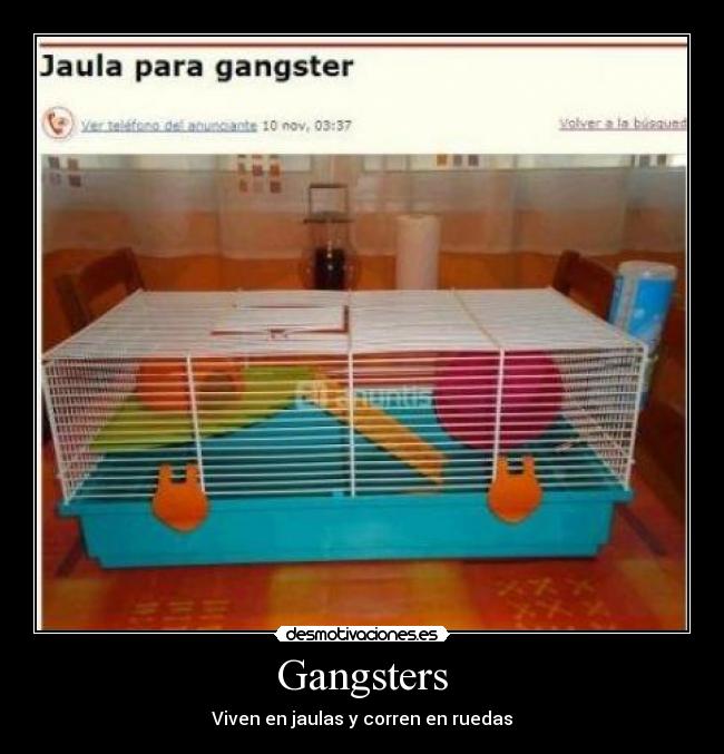 Gangsters -