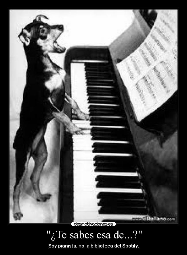 ¿Te sabes esa de...? -