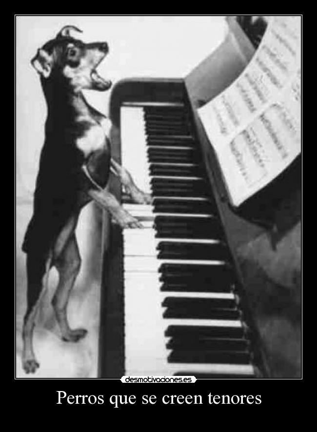 Perros que se creen tenores -