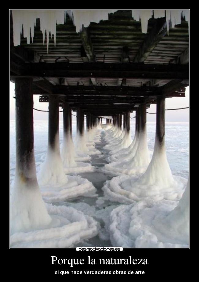 Porque la naturaleza - 