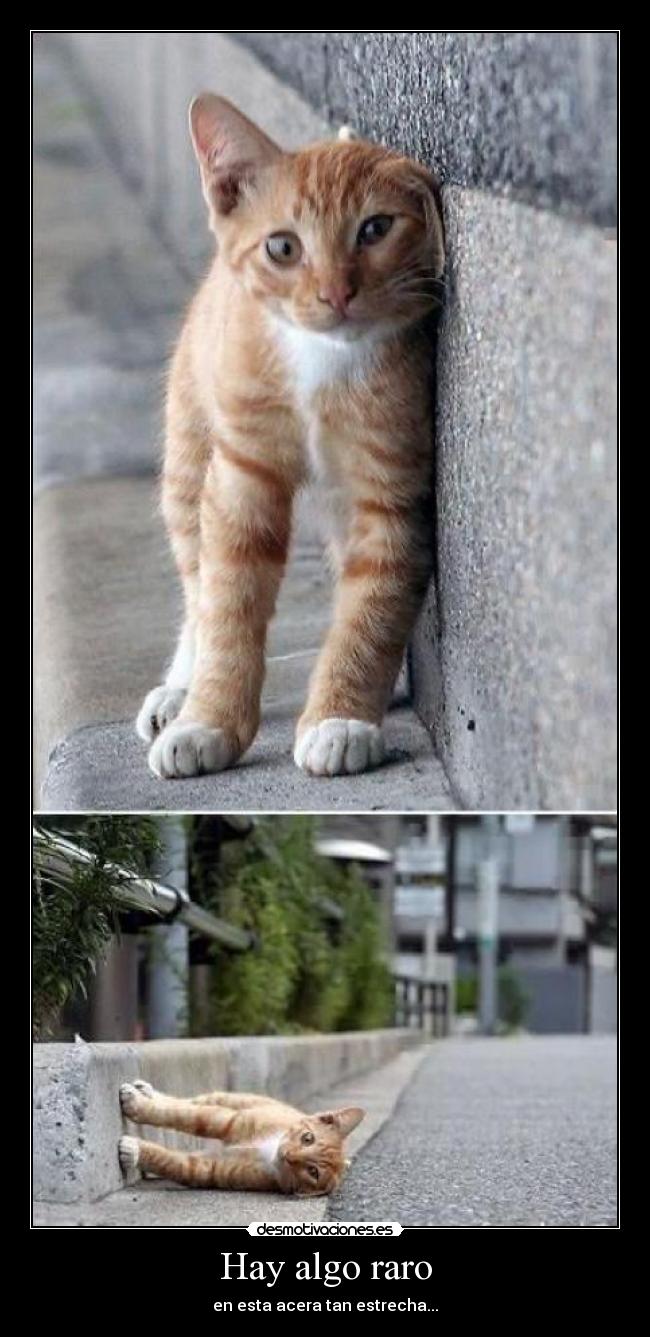 Hay algo raro - en esta acera tan estrecha...