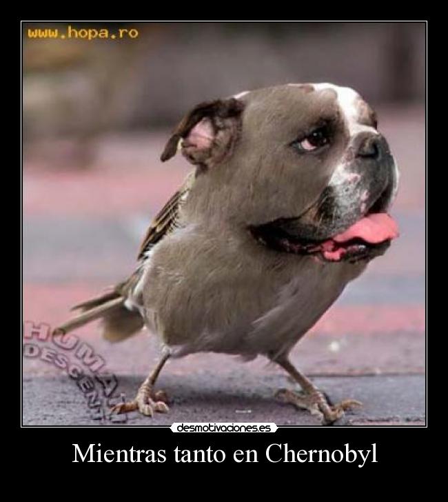 Mientras tanto en Chernobyl -